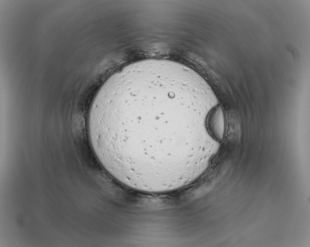 X0000112780523200909101615