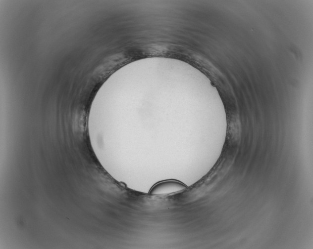 X0000112780525200909101615