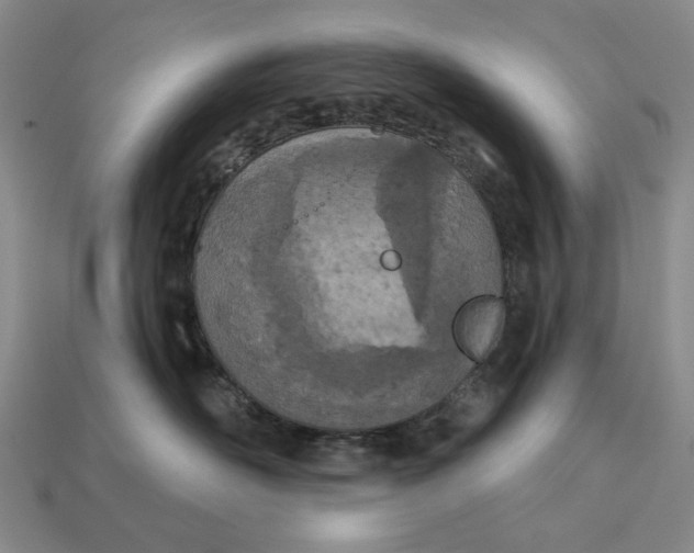 X0000112780526200909101615