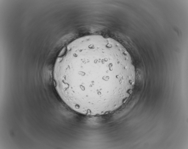 X0000112780527200909101615