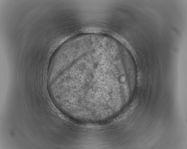 X0000112780529200909101614