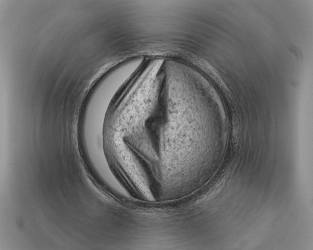 X0000112780530200909101614