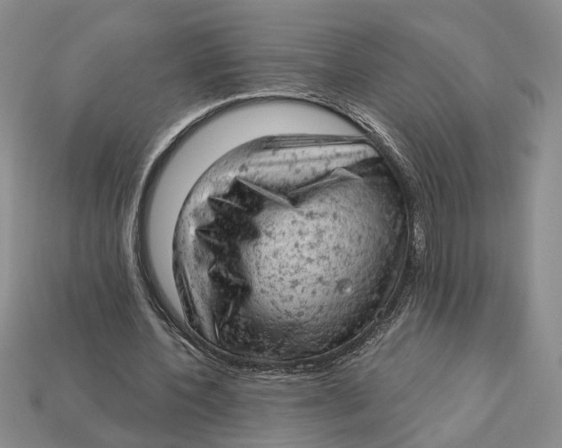 X0000112780532200909101614