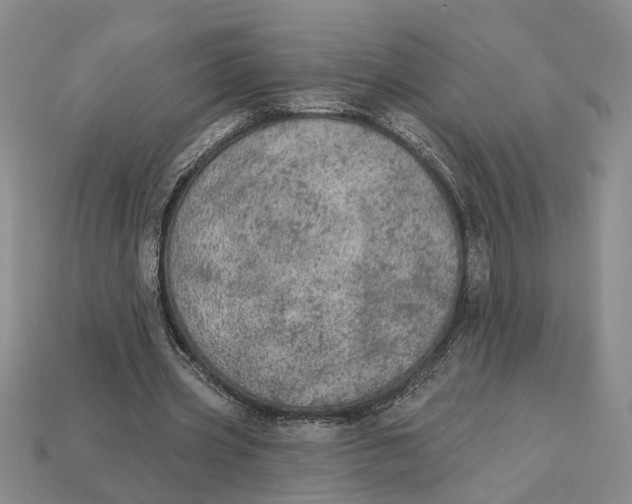 X0000112780533200909101614