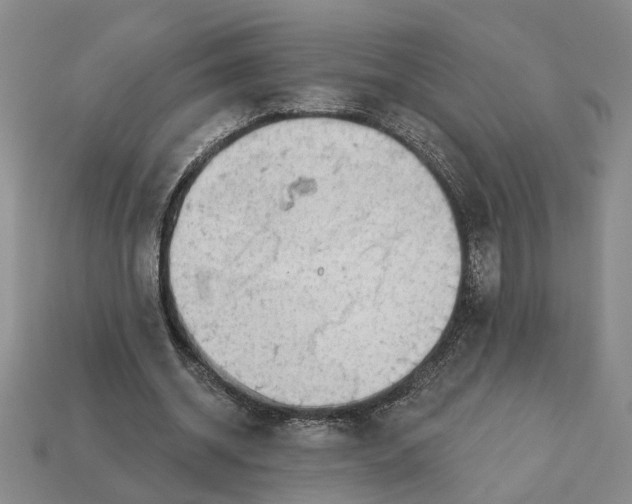 X0000112780534200909101614