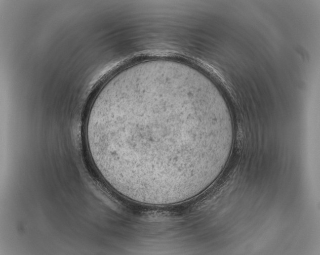 X0000112780535200909101614