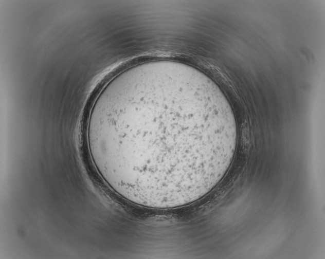 X0000112780536200909101614