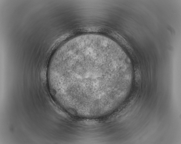 X0000112780537200909101614