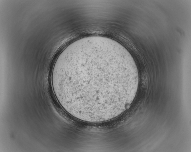 X0000112780538200909101614