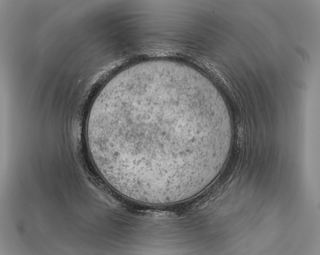 X0000112780539200909101614