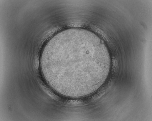 X0000112780541200909101614