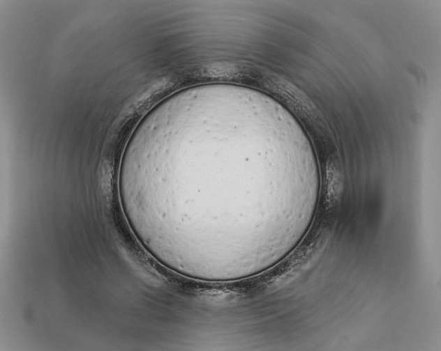 X0000112780542200909101614