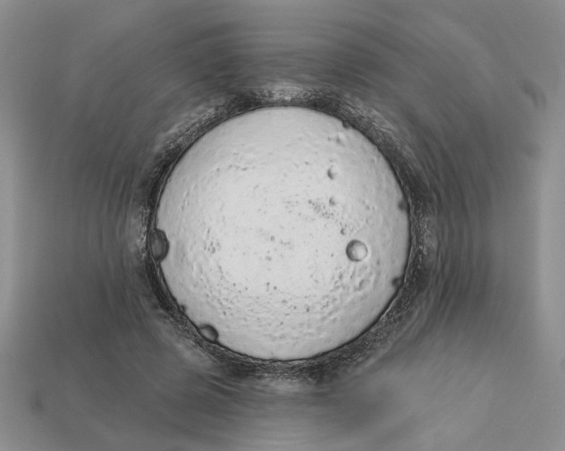 X0000112780545200909101614