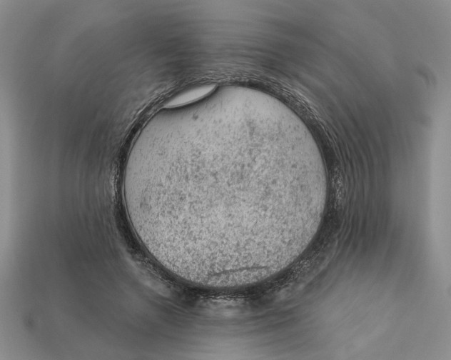 X0000112780546200909101614