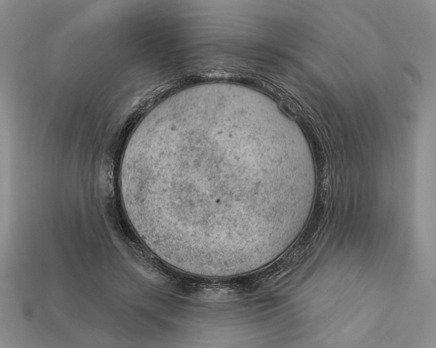 X0000112780547200909101614