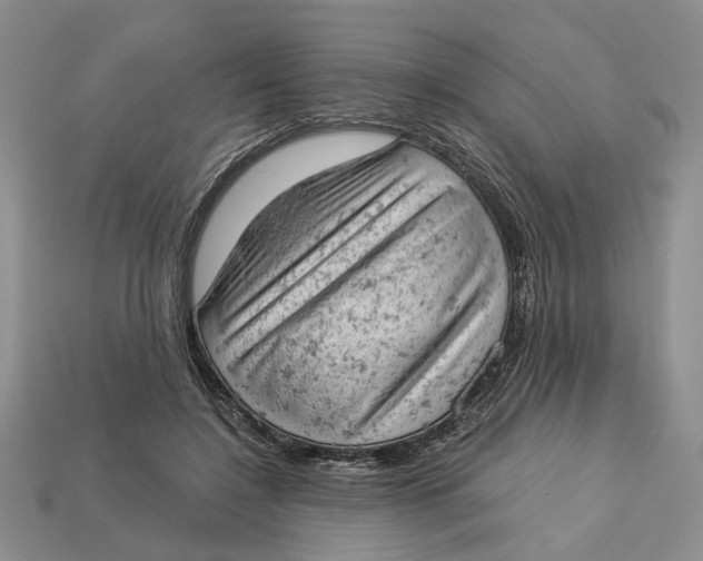 X0000112780548200909101614