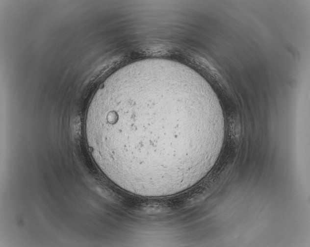 X0000112780549200909101614