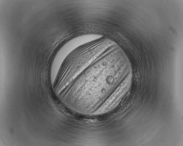 X0000112780552200909101614