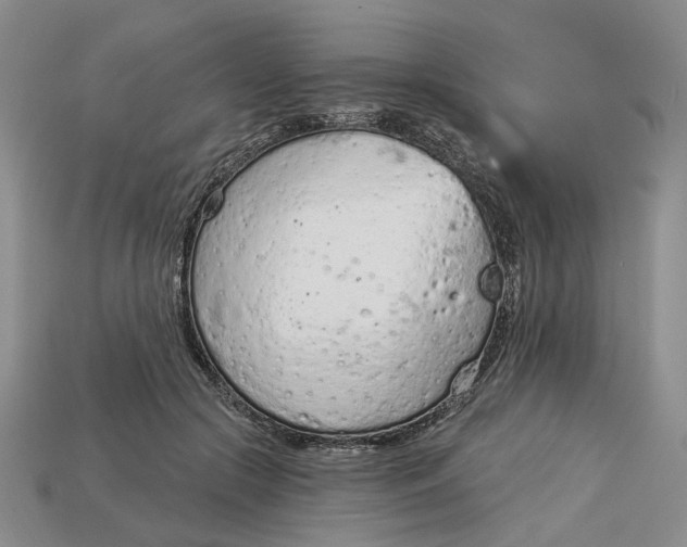 X0000112780553200909101614