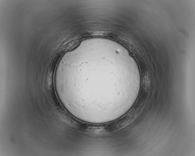 X0000112780554200909101614