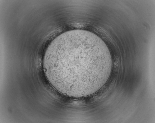 X0000112780555200909101614