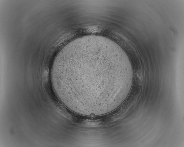 X0000112780556200909101614