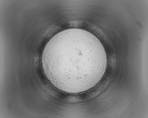 X0000112780557200909101614