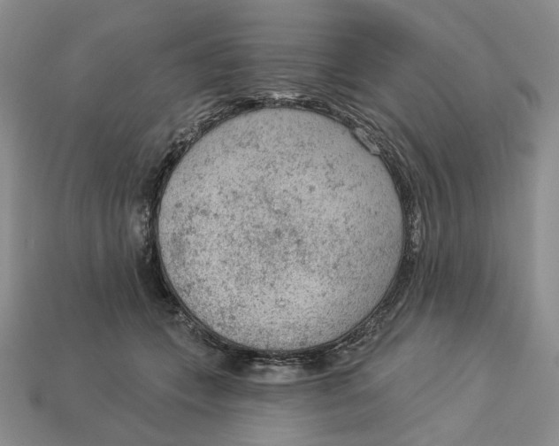 X0000112780559200909101614