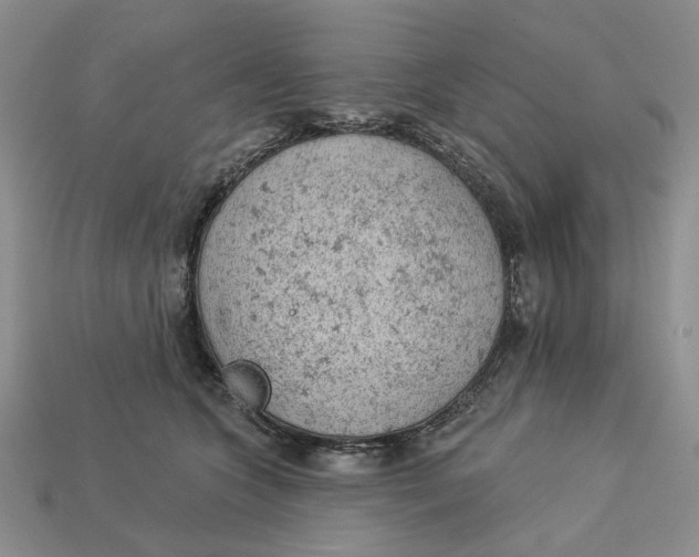 X0000112780563200909101615