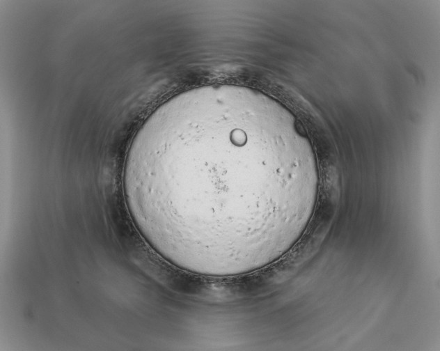 X0000112780565200909101615