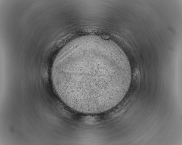 X0000112780566200909101615