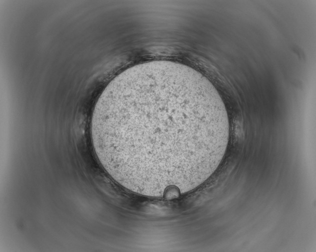 X0000112780567200909101615