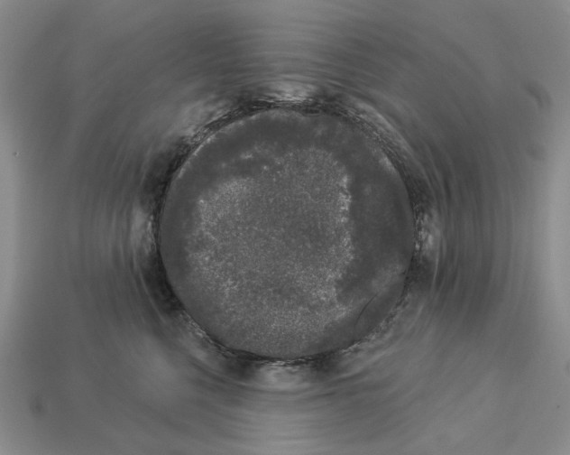 X0000112780568200909101615