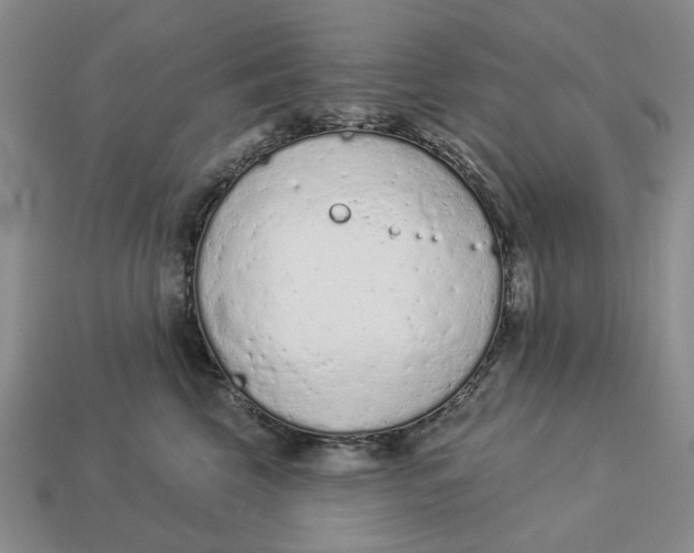 X0000112780569200909101615