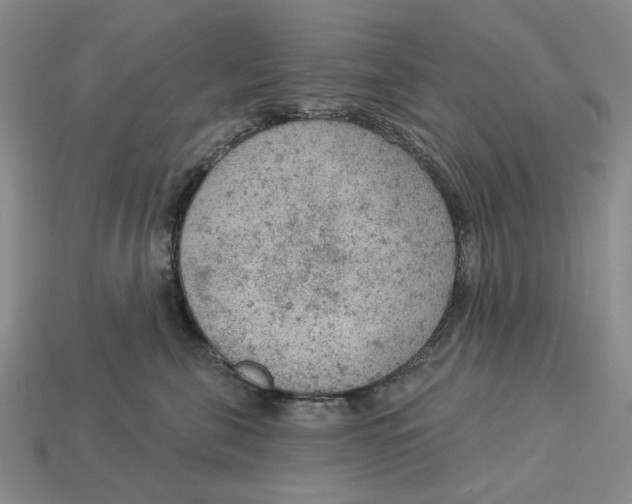 X0000112780571200909101615