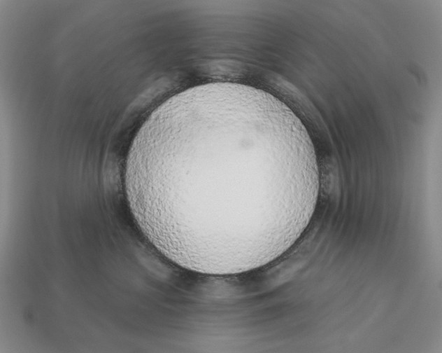 X0000112780573200909101615