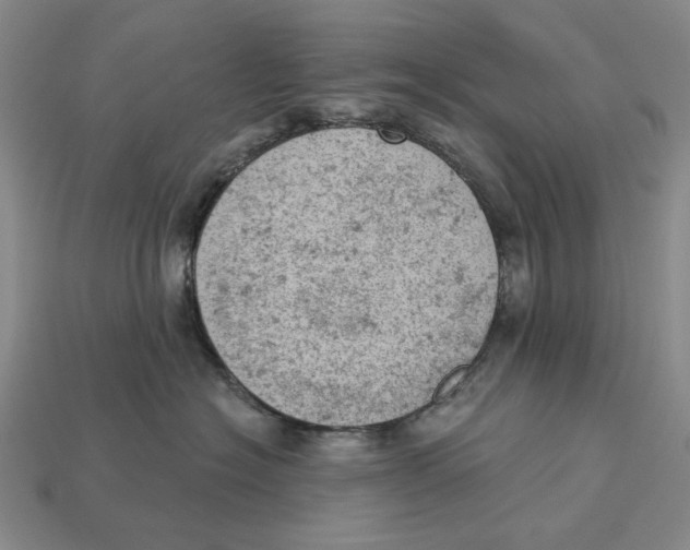 X0000112780574200909101615