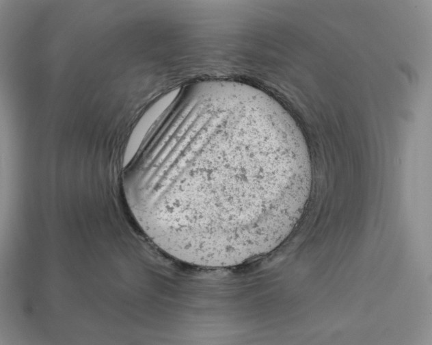 X0000112780576200909101615