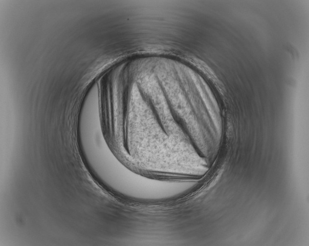 X0000112780577200909101614