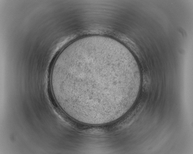 X0000112780578200909101614