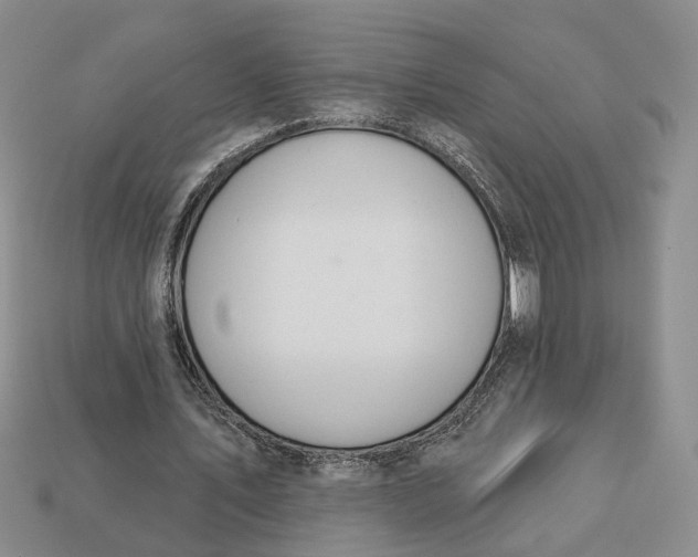 X0000112780579200909101614