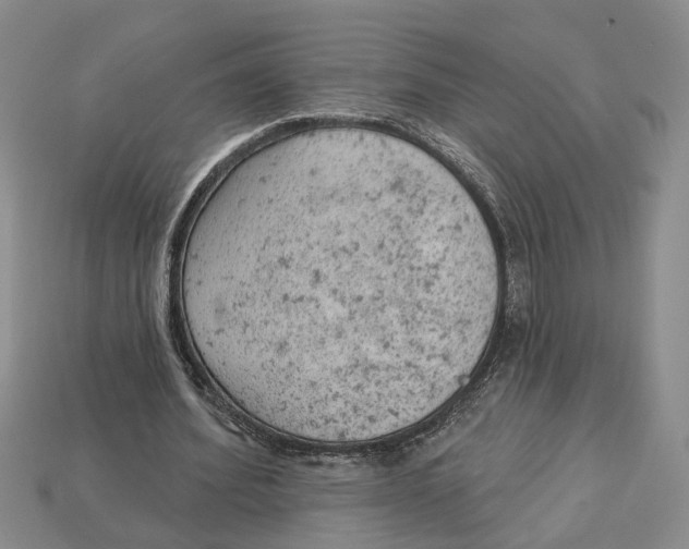 X0000112780580200909101614