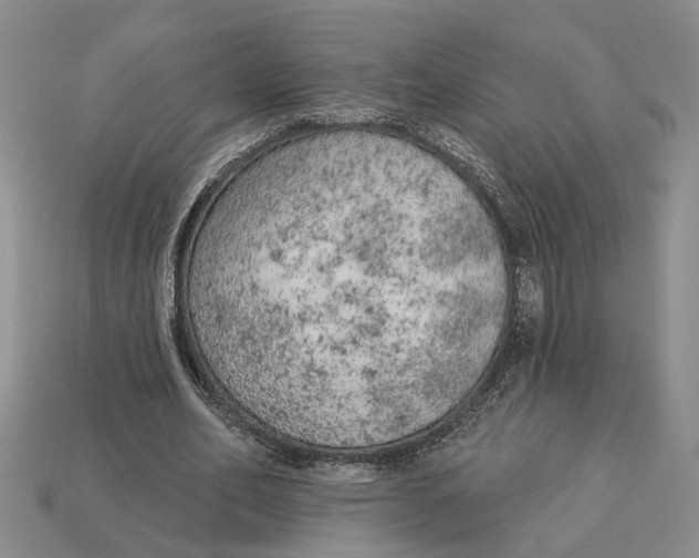 X0000112780582200909101614