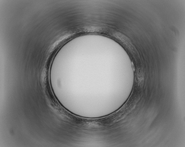 X0000112780583200909101614