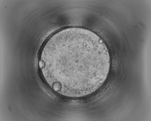 X0000112780584200909101614