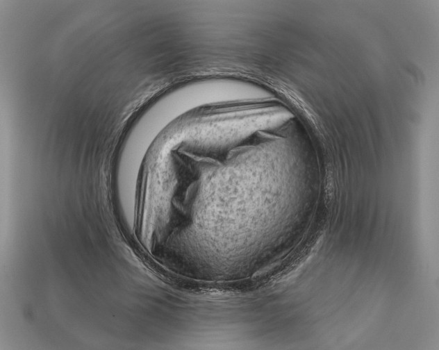 X0000112780585200909101614