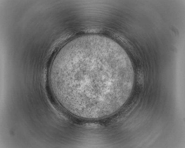 X0000112780586200909101614