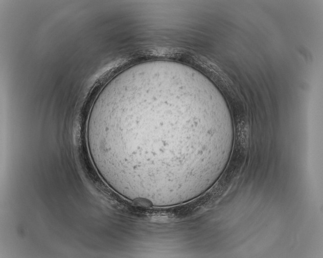 X0000112780587200909101614