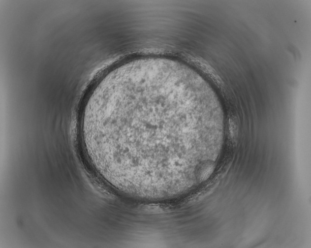 X0000112780588200909101614