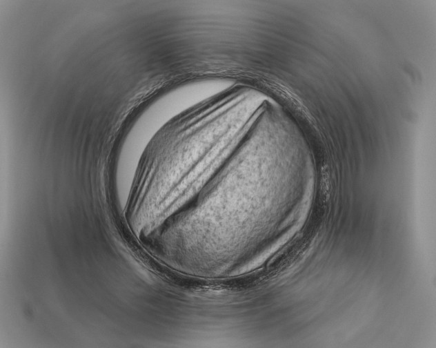 X0000112780589200909101614